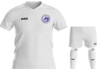 Оқжетпес 2008