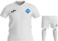 Хан-Тәңірі 2008